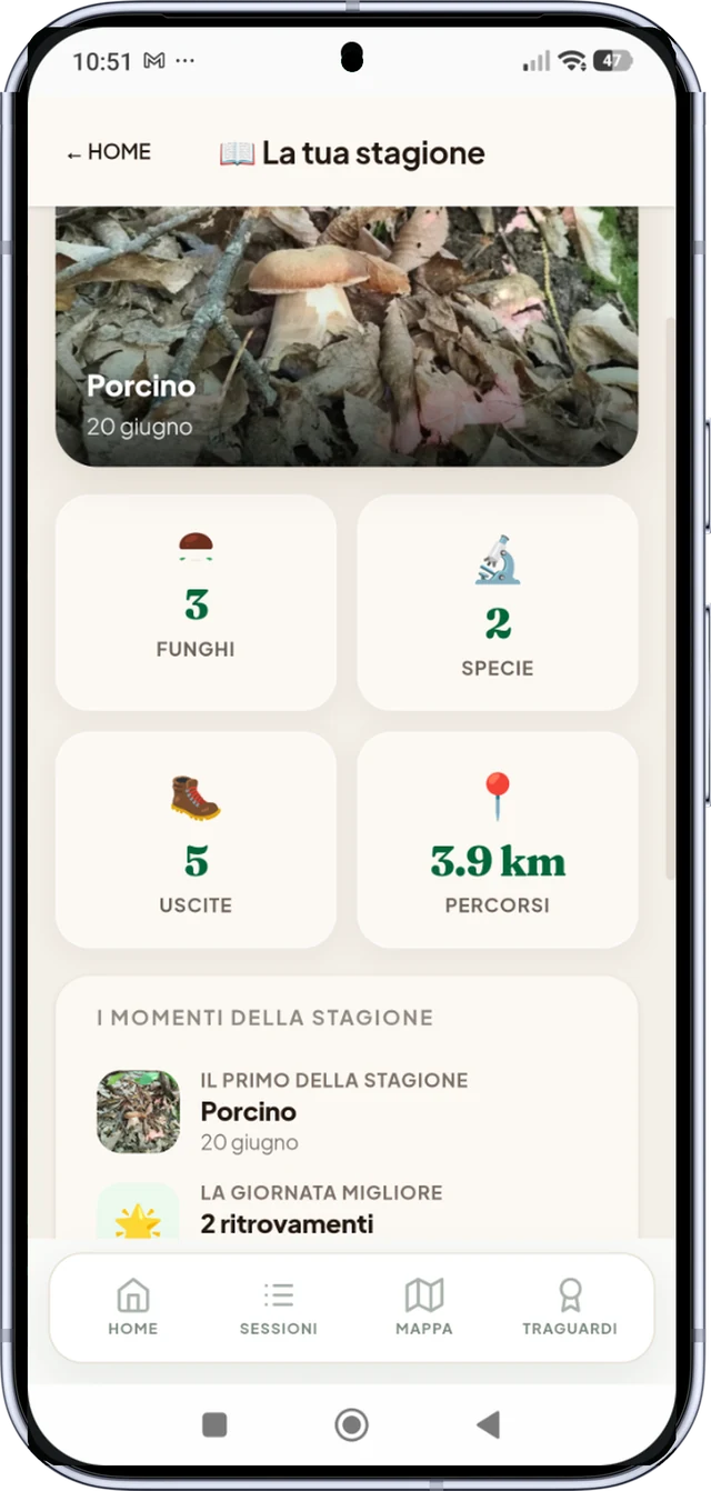 MushScout - La tua stagione ai Funghi Card di MushScout della stagione di ricerca funghi: porcini, finferli, specie e uscite