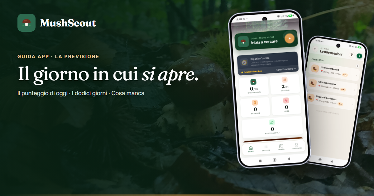 Leggere la previsione funghi: il calendario a 12 giorni