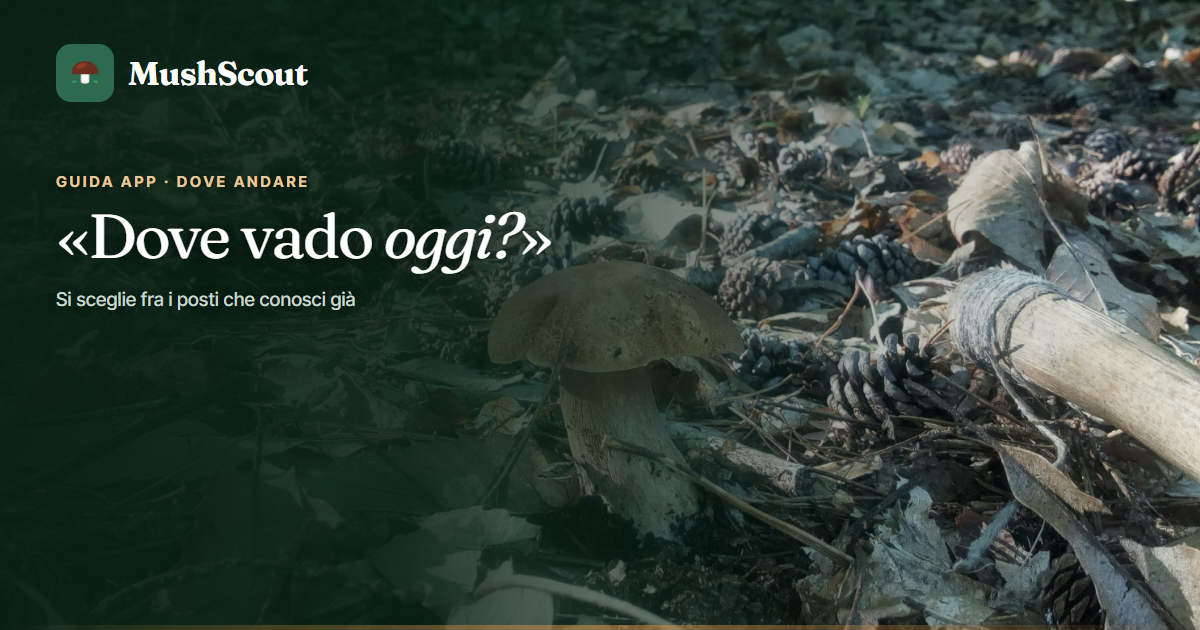Dove andare oggi