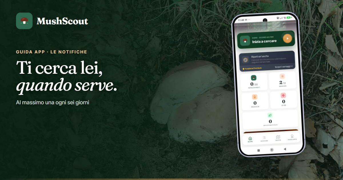 Le notifiche
