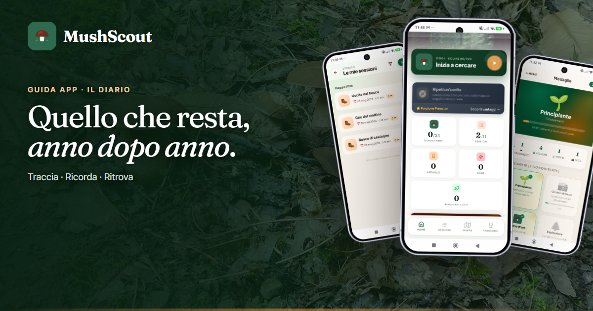Il diario nel tempo
