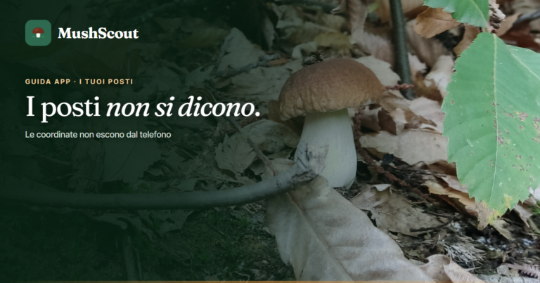 Il fungaiolo non dice i posti. MushScout nemmeno.