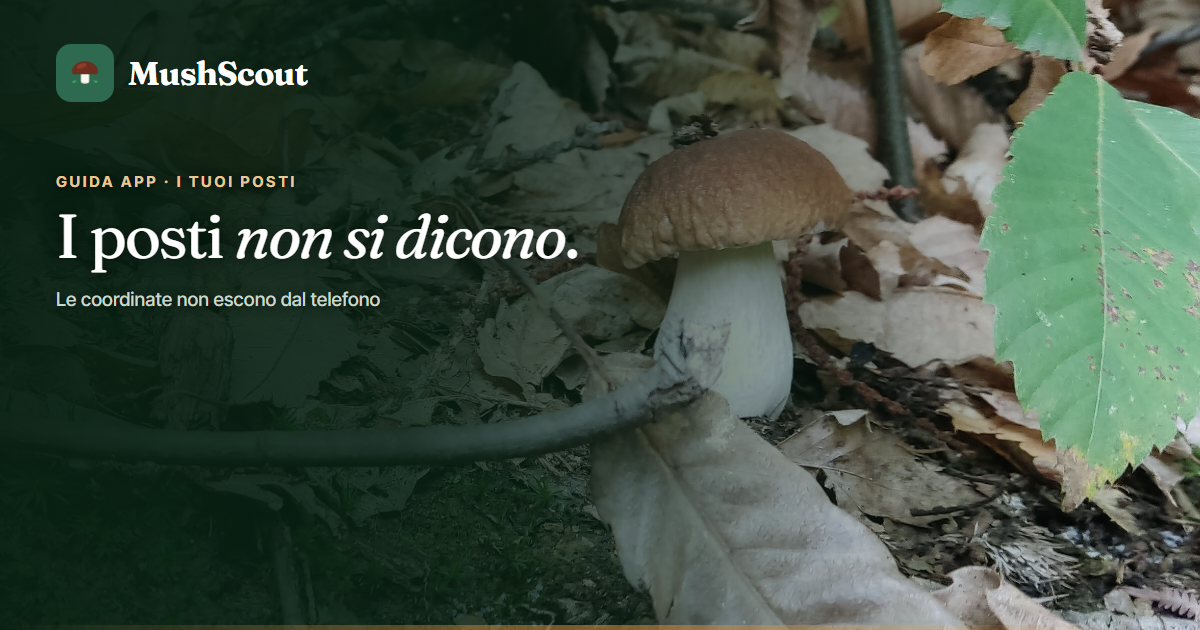 cover 06 mappa funghi posti privati