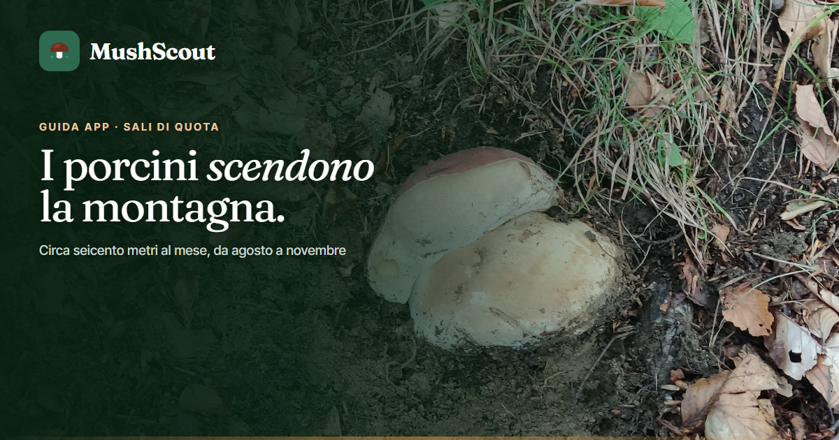 Sali di quota