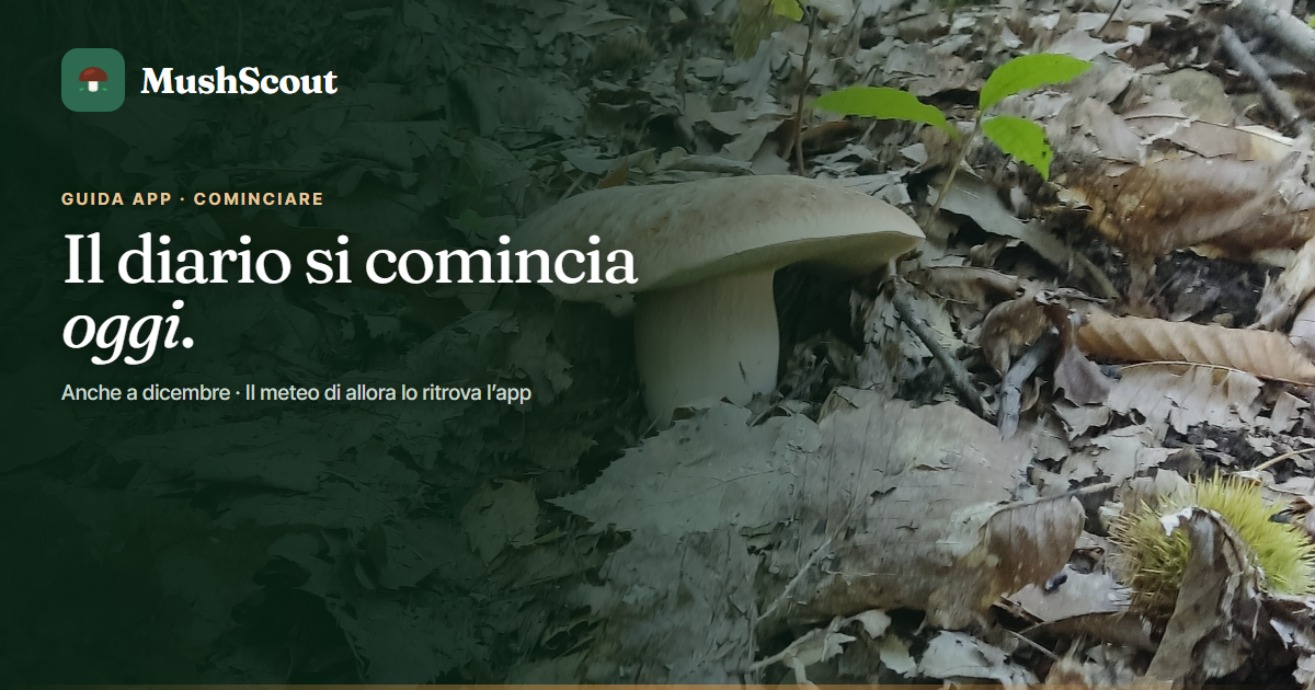 Il diario puoi cominciarlo oggi