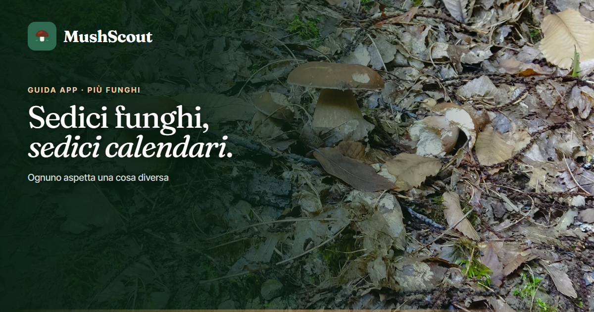 Seguire più funghi