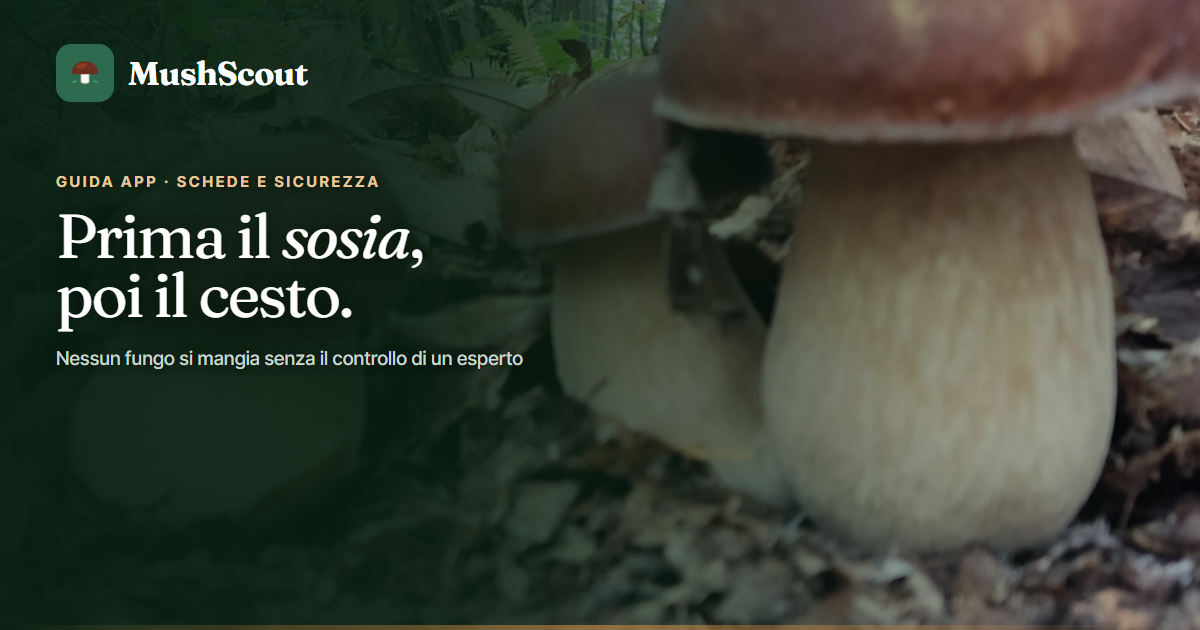 Schede e sicurezza