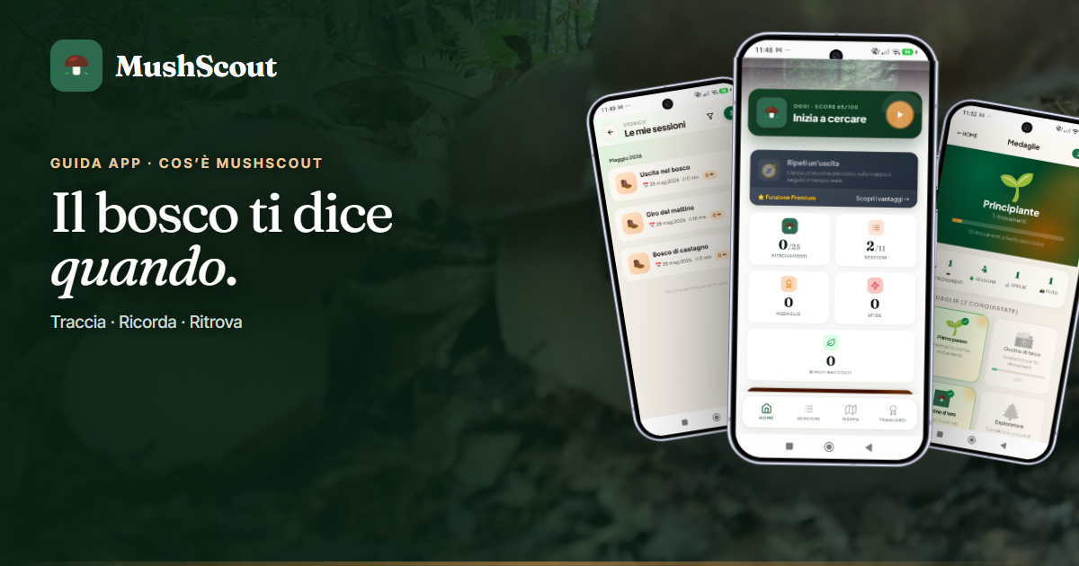Cos’è MushScout e perché è nata