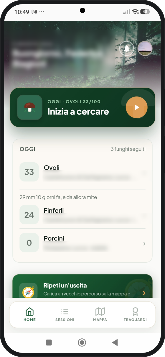 La previsione parte dai tuoi dati.