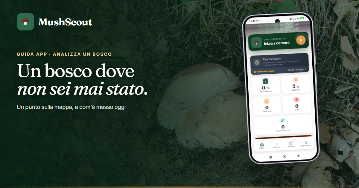 Vale la pena andarci? Analizza un bosco nuovo cover 29 analizzare un bosco nuovo