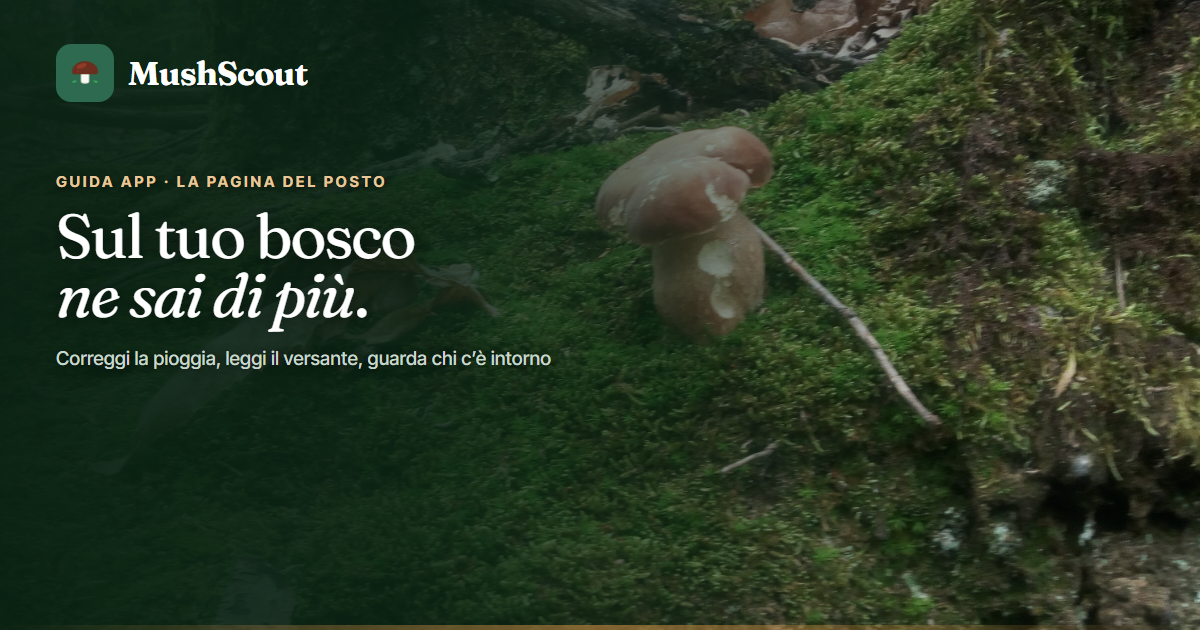 Correggi la pioggia e leggi il versante del bosco