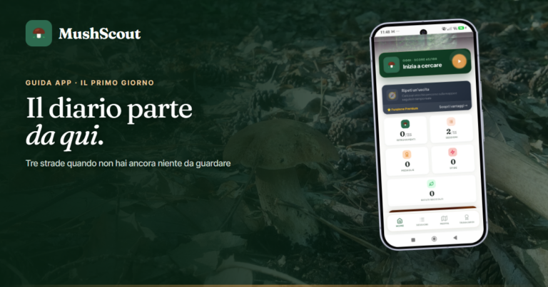 Primo giorno con MushScout: da dove cominciare
